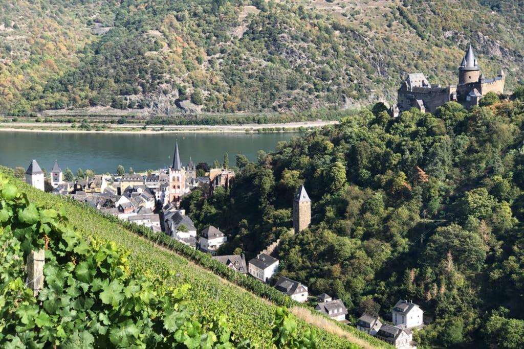 Schoene Ferienwohnung Burgruine Fachwerkhaus Bacharach Dış mekan fotoğraf